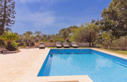 Finca Torrent Des Jai - Foto 30