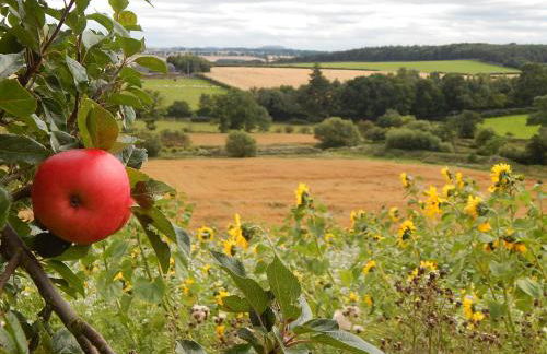 Eden Hideaway - Foto 18