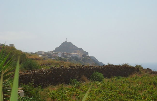 Agriturismo Zibibbodoro - Foto 37