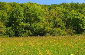 Sonnenbühl Inn Suite & Garden an den Thermen '35C' - Foto 14
