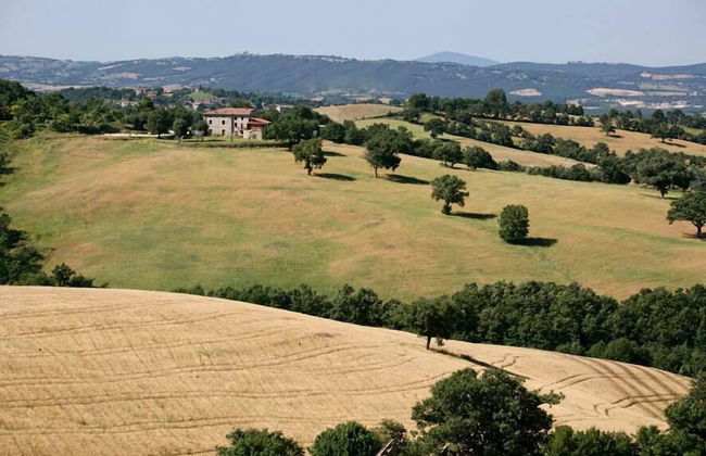 Agriturismo La Marianella - Foto 39