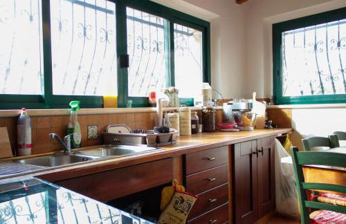 At Aunt Daniela house Oasis on Silence - Photo 30