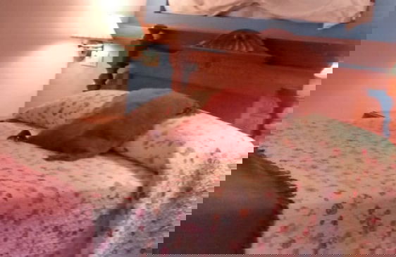 Casa Laiglesia - Foto 16