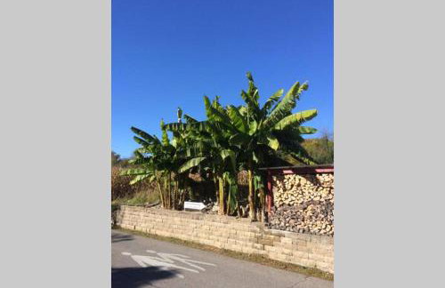 Gehobene Studentenwohnung - Foto 35