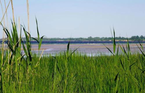 Damshagen Küstenkomfort - Foto 23