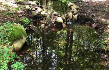 Rustic Safari Tent for a Unique Glamping Experience near Gore Mountain, New York - Photo 12