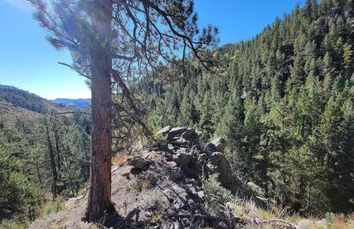 Hot Tub and Scenic Views at The Bailey Lodge - Foto 59