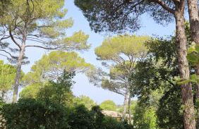 St RAPHAEL VALESCURE CASA - Foto 12