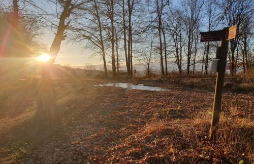 Fachwerk zum Entspannen, max. 3P - Foto 28
