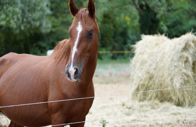 Beautiful Holiday Home With Fireplace - Foto 56