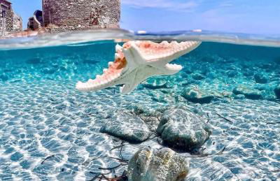 TERESA HOLIDAY - Foto 1