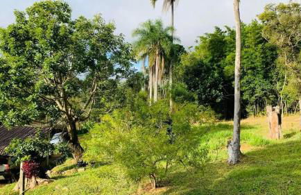 Sítio há 10 mim da Rota do Vinho - Foto 60