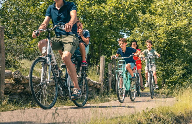 5 bedroom House in Brunssum with terrace - Photo 12