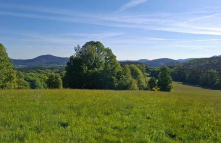 Laerchenloft - Foto 29