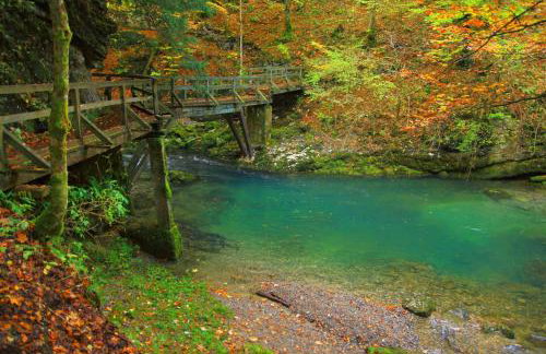 Chalet Zavrh with Private Heated Pool - Foto 84