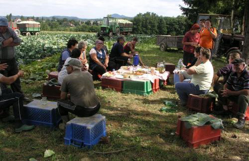 OAK COTTAGE - Foto 39