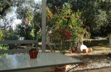 Sunny holiday home - Foto 7