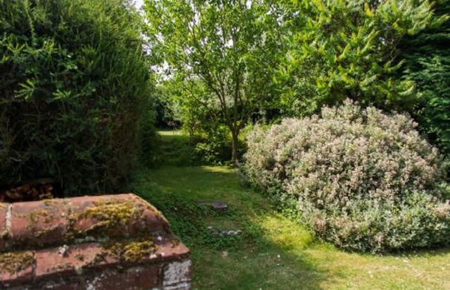 Host Stay Marlpit Cottage - Foto 26