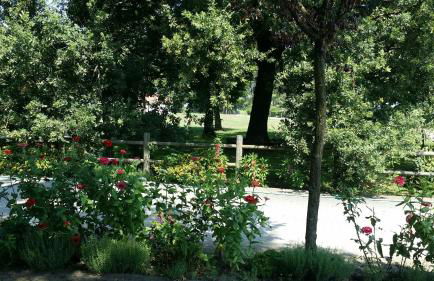 Scuderia 100 pertiche - Foto 6