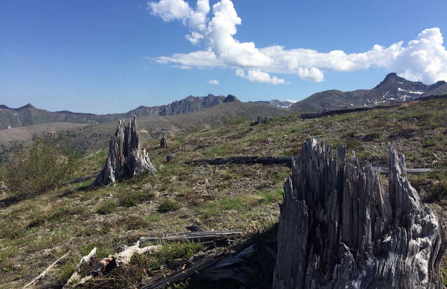 Excursión al Monte Santa Helena - Foto 4