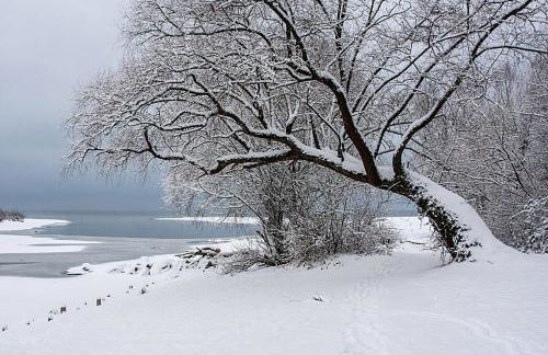 Zum Seglerhafen – Ferienappartement - Foto 20