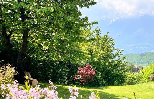 Ciasa Erica - Val di Non - Foto 28