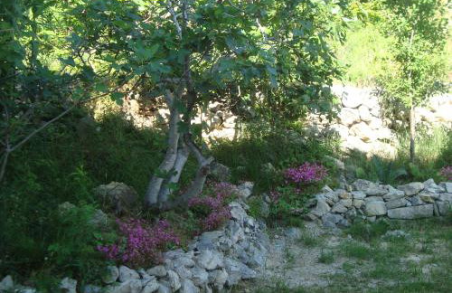 Apartment Marijan - Rtina - Foto 27