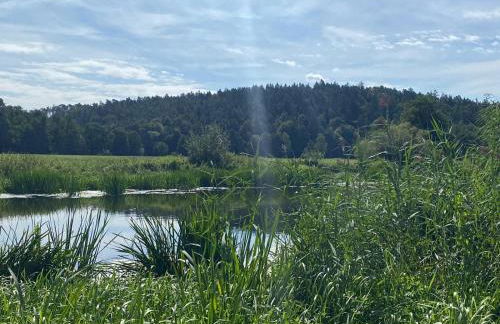 Idyllische Ferienwohnungen in Mossendorf - Foto 53