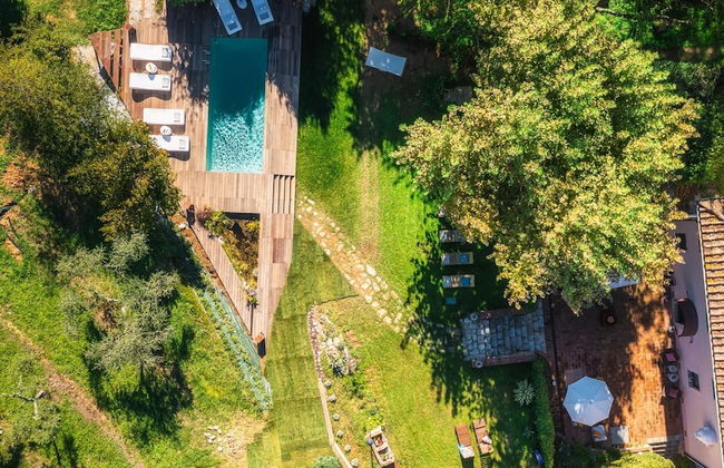 La Dama Del Bosco 8 3 - Foto 3