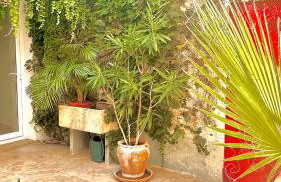 Gite AVIGNON BOUGAINVILLIER - Foto 38