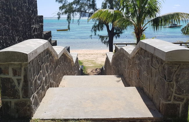 Allamanda Studios and Apartments - Photo 47