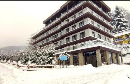 Czarodziejska Góra Kozubnik Daglezja - Foto 17