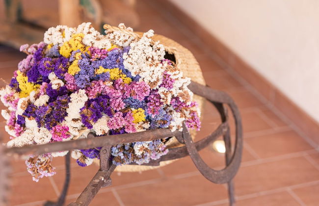 Agriturismo Ai Due Leoni - Foto 66