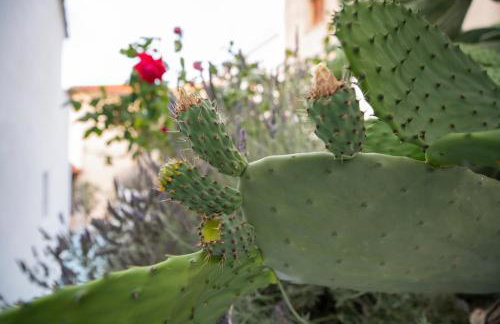 Stella's traditional house. - Foto 73