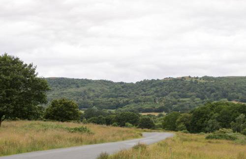 The Turbles - Wagtail - Foto 25