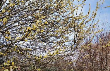 Agriturismo La Collina delle Api - Foto 49