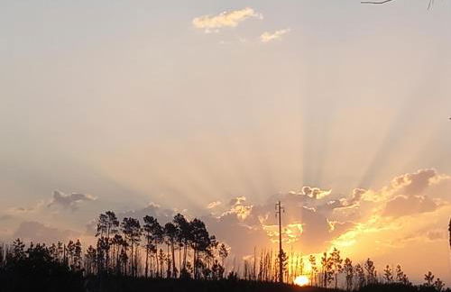 Vale de Garcia AL 5357 - Foto 49