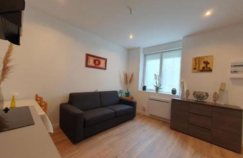 Appart'hôtel, IKIMO 5 appartements entiers à votre disposition au choix - Foto 23