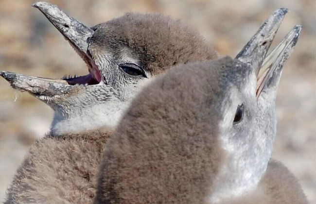 Estancia Monte Dinero - Photo 41