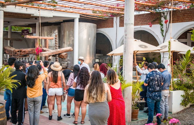 Glamping Toneles y ViƱedos - Photo 30