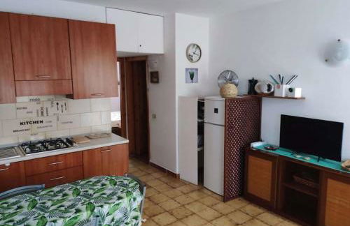 Casa Flamingo House - Photo 24