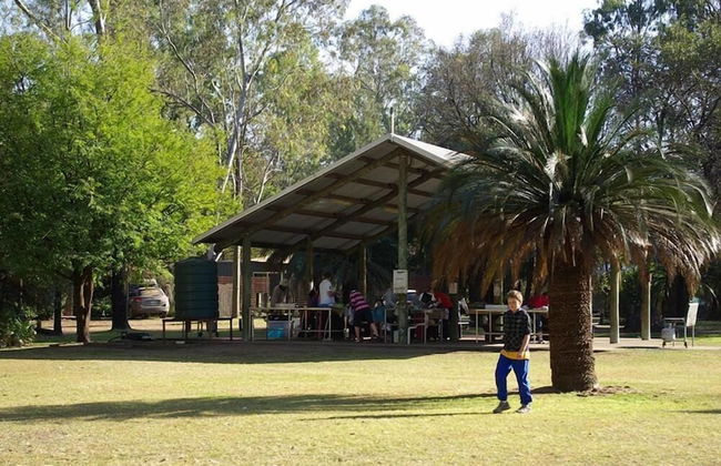 BIG4 Carnarvon Gorge Holiday Park - Foto 37