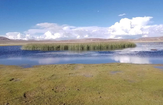 Salar de Uyuni 2-Day Trip - Photo 1
