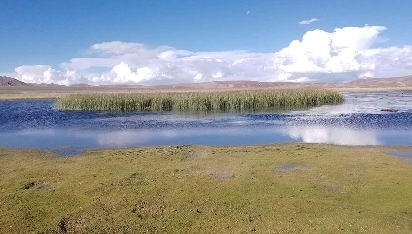 Salar de Uyuni 2-Day Trip - Foto 2