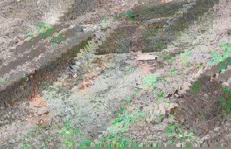 The Villa Marcelle - Photo 20