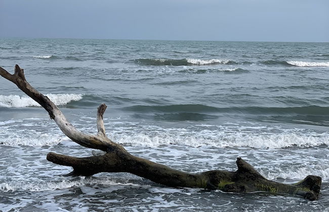 cabañas bari - Foto 19