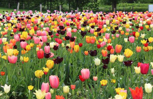 Bauernhof Sesterhenn - Foto 34