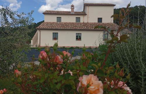 Casale Regnano - Photo 10