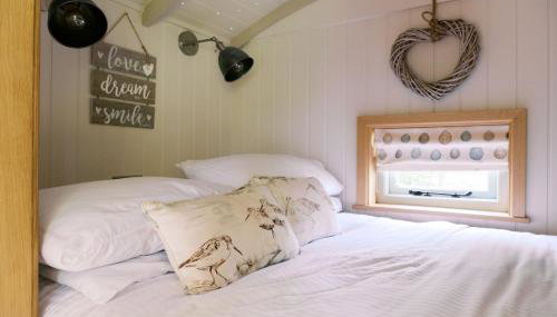 Shepherd's Hut- Hot Tub- Wellness Spa- Wood Burner - Foto 2