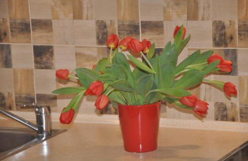 Apartamenty LeVilla - Foto 27